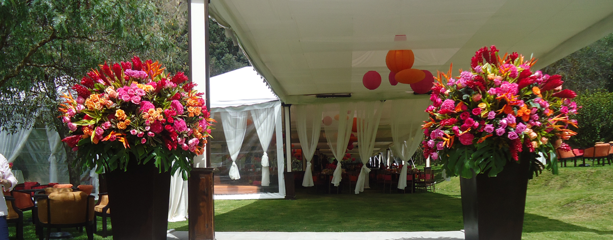 Plataforma para eventos